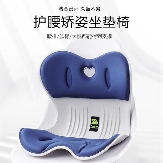 【出口欧美日本】思菲其思菲矫姿坐垫，第2代和第四代，一秒防驼背，久坐不累 商品图5