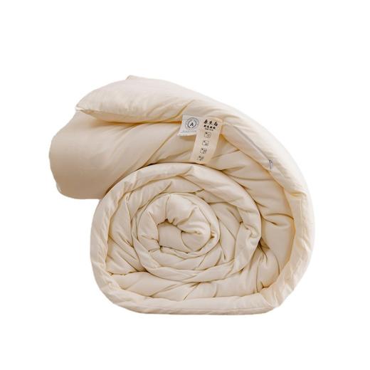 【A类原棉大豆被，给你带来温暖和舒适！】A类原棉大豆被 加厚春秋被大豆纤维被芯冬被被子轻巧却不可小觑，温暖度抵得过千层棉花的厚重，让你享受温暖的拥抱lm 商品图4