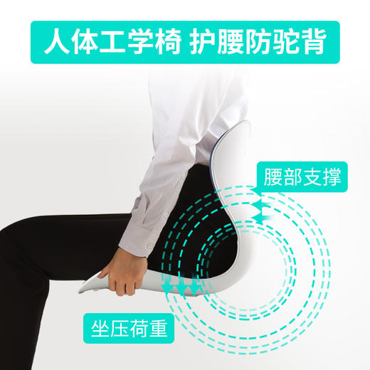 【出口欧美日本】思菲其思菲矫姿坐垫，第2代和第四代，一秒防驼背，久坐不累 商品图7