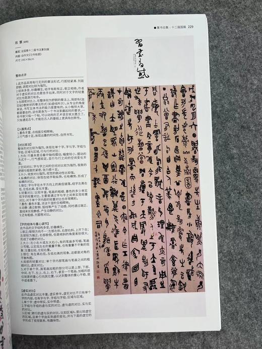 【国展参考-篆书集】精选全国性篆刻书法展作品 商品图11