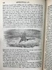 1899年 鲁宾逊漂流记 约20幅插图 漆布精装32开 商品缩略图11