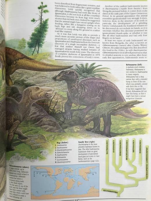 恐龙图解百科 700余幅插图 精装大16开 商品图8