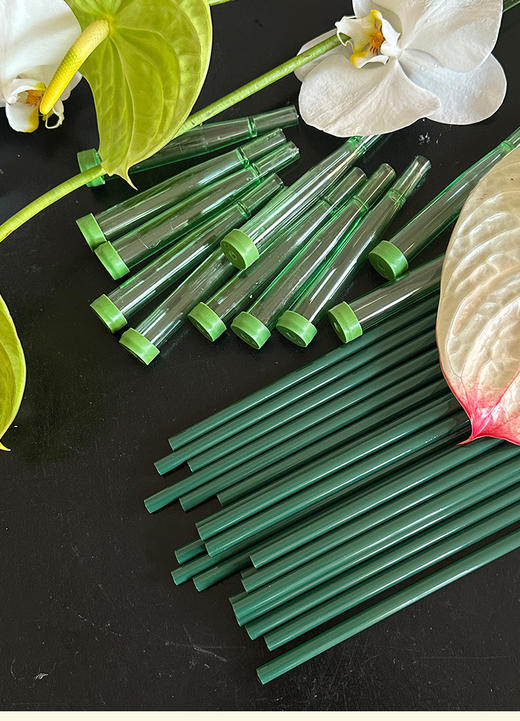 【琳琅】加长洋兰管带杆/ 鲜花蝴蝶兰嫁接/保鲜保水管 商品图6