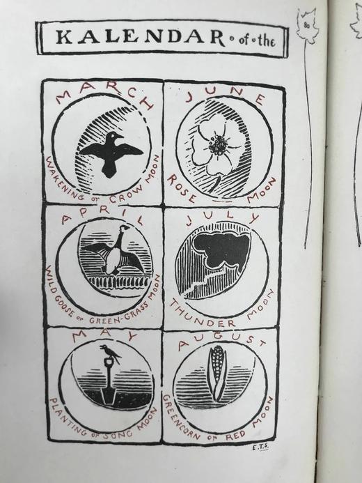 1905年 森林神话与寓言 作者亲绘精美书页与插图 漆布精装32开 商品图8