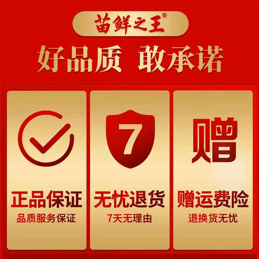 苗鲜膝盖贴 商品图3