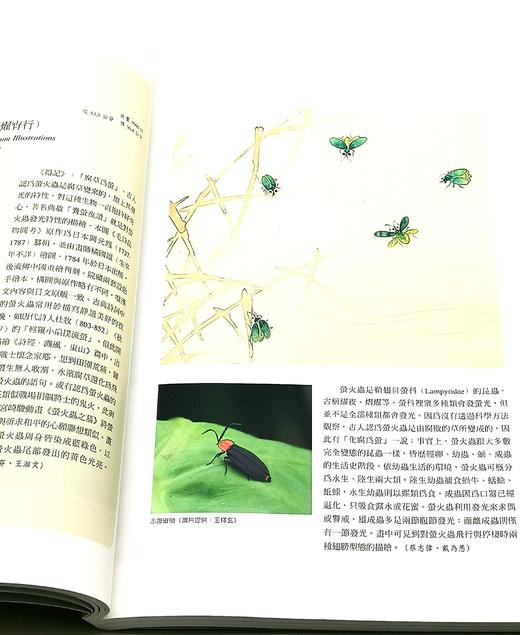 《草虫捉迷藏特展图录》，主编：邱士华、杨若苓、吴诵芬，16开平装，页数不详 商品图8