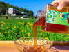 《10级-周承伟代言》 小蜂桶 醇香幽谷蜜 礼盒装蜂蜜 商品缩略图2