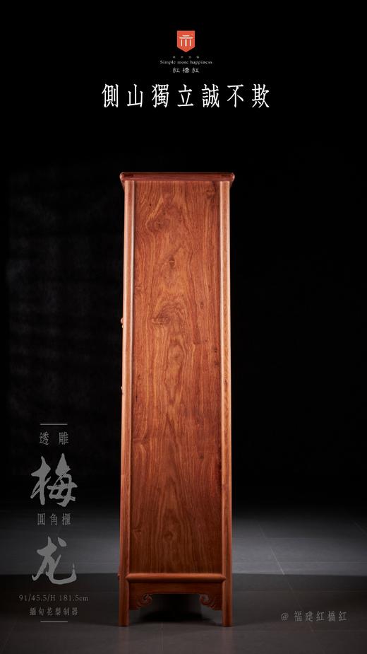 红桥红  家具严选  缅甸花梨（大果紫檀）  【182 透雕梅龙 圆角柜】 商品图8