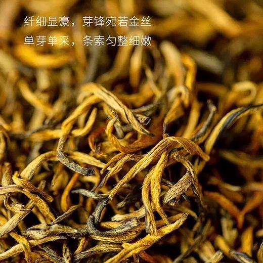 【仅抢10套至低价】【云茶盟主内部老客专享福利】2022年陈升红凤皇100g云南凤庆高原大树茶金芽红茶高档礼盒装！ 商品图1