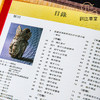 【绝版好书】雕刻——蕴籍深厚取精用弘的中国工艺 商品缩略图8