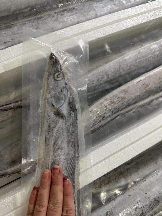 【大连特产，正宗渤海刀送礼有面子】真空单冻渤海刀鱼，真正的渤海刀鱼，肉质鲜香细嫩，特别特别好吃，东三省包邮，省外补差价 商品图3
