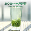 2026明前新茶 7星碧螺春明前春茶绿茶125g*2罐 商品缩略图2