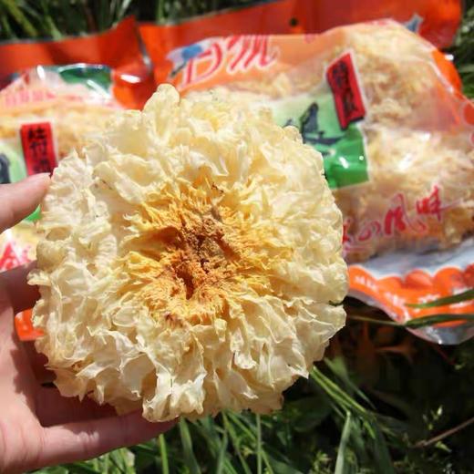 【古田银耳！食用菌之都】100g袋装银耳干货古田特产银耳基地无硫白木耳方便快捷用水泡健康 商品图1