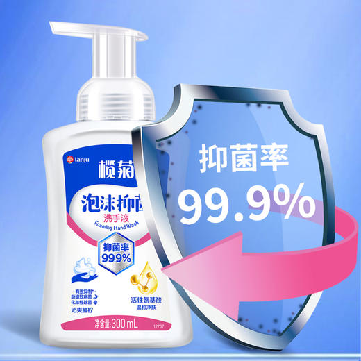 榄菊 泡沫洗手液300ml*2 商品图5
