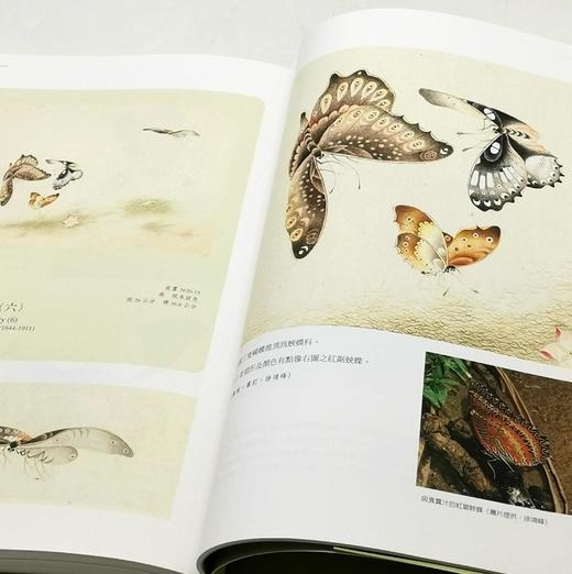 《草虫捉迷藏特展图录》，主编：邱士华、杨若苓、吴诵芬，16开平装，页数不详 商品图14