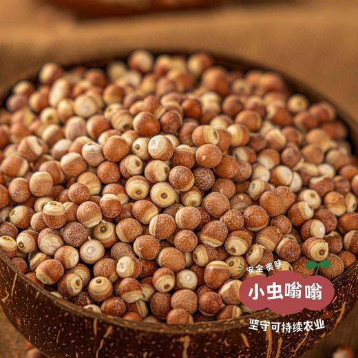 高邮湖野生芡实 400g |  合作农友生产，产自江苏高邮湖，生产者：张运东 &【公平贸易农人定价】 商品图1
