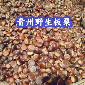 贵州野生小板栗
