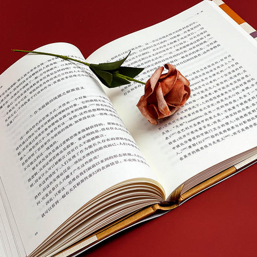 大哲学家 佛陀与龙树 雅斯贝尔斯著作集 精装 哲学思想研究 商品图13