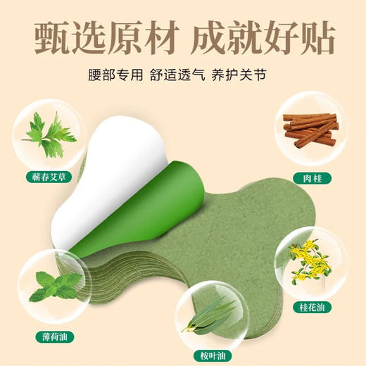 苗鲜腰椎贴 商品图3