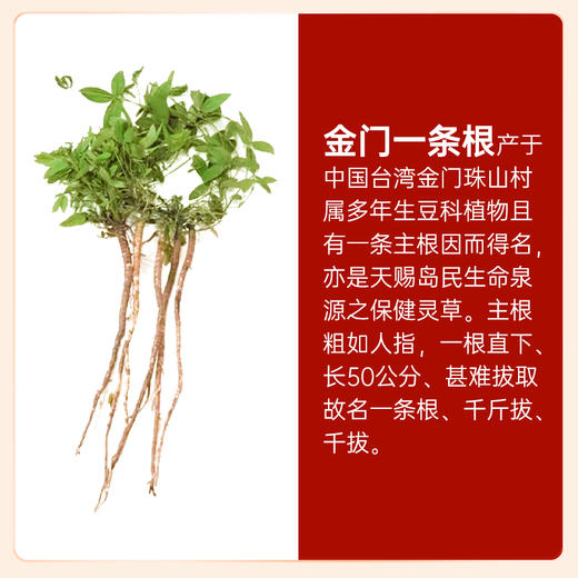 神根 金门一条根龙牌滚珠软膏 植物精华 商品图4