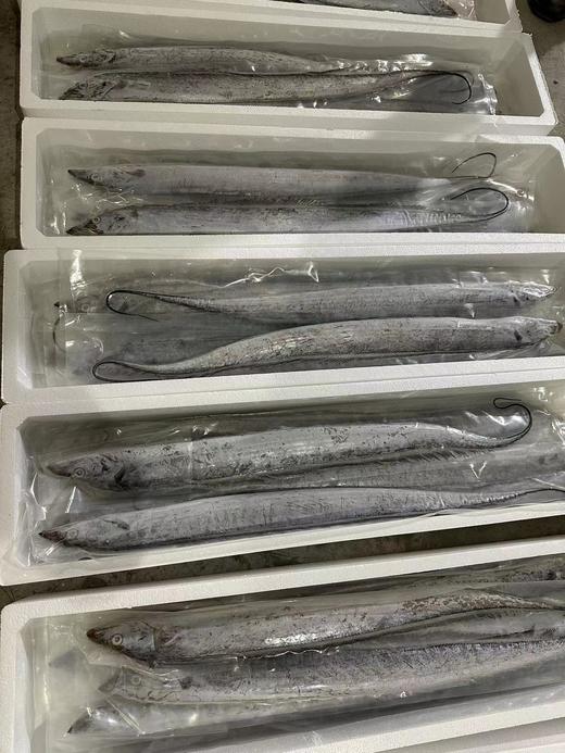 【大连特产，正宗渤海刀送礼有面子】真空单冻渤海刀鱼，真正的渤海刀鱼，肉质鲜香细嫩，特别特别好吃，东三省包邮，省外补差价 商品图2