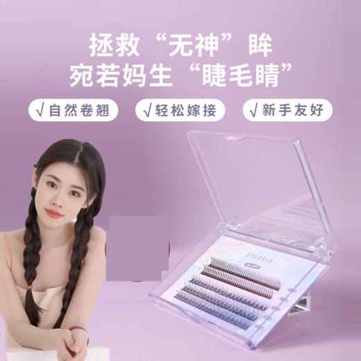 everbab 单簇假睫毛/镊子/胶水 商品图1