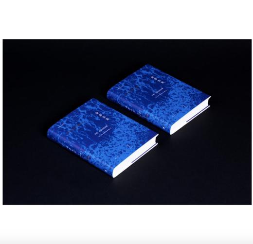 众多未来[精]——(美) 乔丽·格雷厄姆 (Jorie Graham) 著 金雯 译 上海人民出版社 商品图2