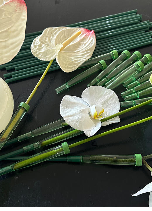 【琳琅】加长洋兰管带杆/ 鲜花蝴蝶兰嫁接/保鲜保水管 商品图3