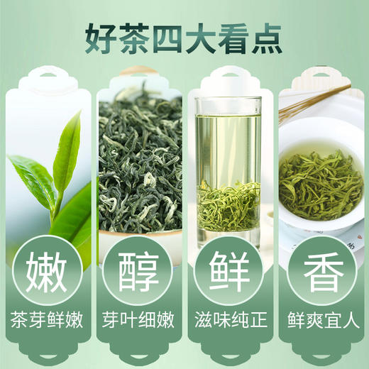 2026新茶上市明前春茶5星碧螺春绿茶125g*2袋 商品图5