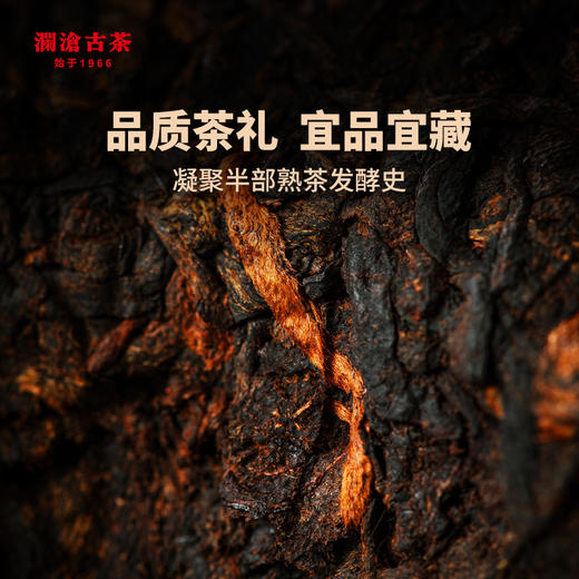 澜沧古茶2024年0085锡罐鉴赏装普洱茶熟茶小玉饼景迈古树 商品图2