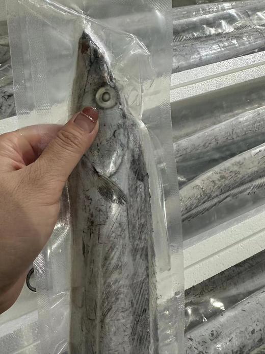 【大连特产，正宗渤海刀送礼有面子】真空单冻渤海刀鱼，真正的渤海刀鱼，肉质鲜香细嫩，特别特别好吃，东三省包邮，省外补差价 商品图1