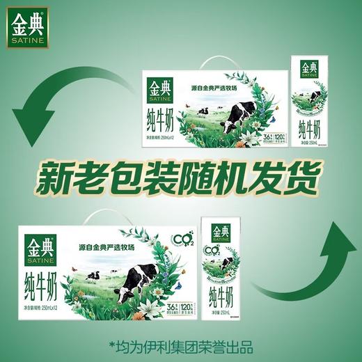 金典（SATINE）金典纯牛奶250ml*12盒整箱低脂营养早餐伴侣 商品图2