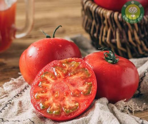 合作产品/ 半亩园”初恋“有机西红柿 商品图0