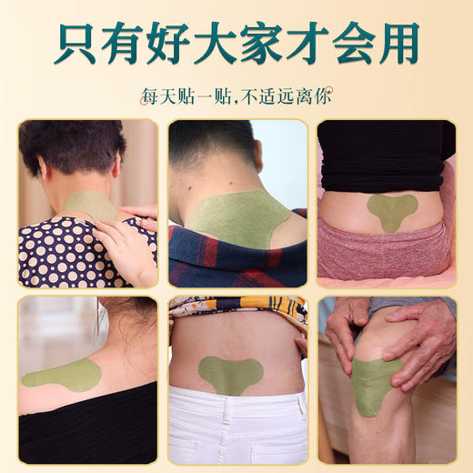 苗鲜艾草贴 商品图4