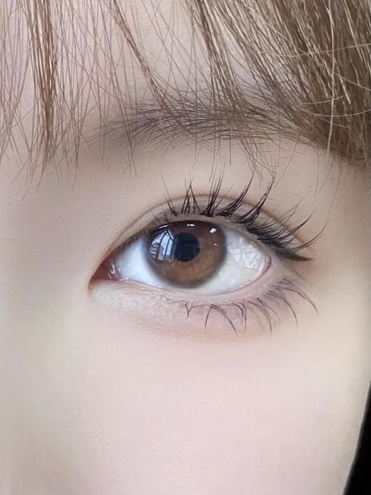 Favorr Beauty日抛--粉灯泡 商品图13