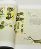 《草虫捉迷藏特展图录》，主编：邱士华、杨若苓、吴诵芬，16开平装，页数不详 商品缩略图7