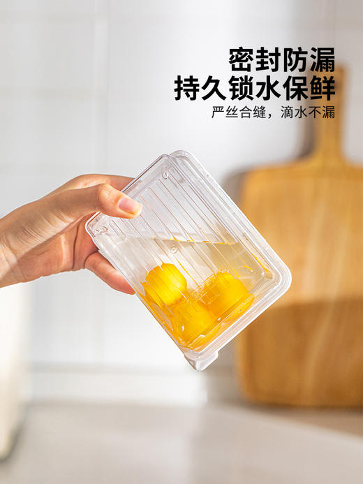 摩登主妇冰箱收纳盒冷冻肉保鲜盒食品级分装盒蔬菜备菜整理密封盒 商品图3