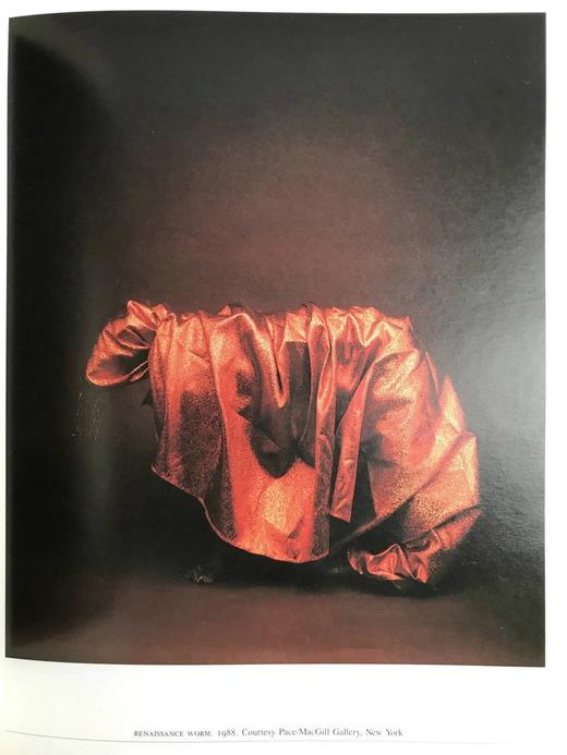 美国现代艺术家魏格曼作品集 约百幅插图 平装16开 商品图13