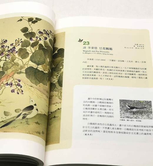 《草虫捉迷藏特展图录》，主编：邱士华、杨若苓、吴诵芬，16开平装，页数不详 商品图10