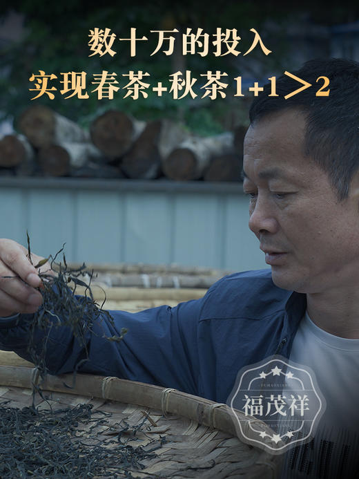 【冰岛典藏】首款跨季节拼配 2023年云南普洱生茶临沧冰岛古300普洱茶357g饼茶 商品图1