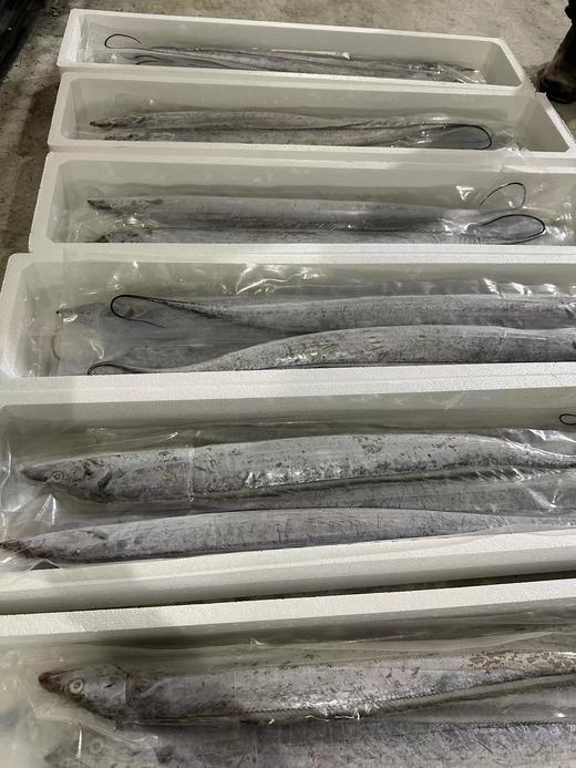 【大连特产，正宗渤海刀送礼有面子】真空单冻渤海刀鱼，真正的渤海刀鱼，肉质鲜香细嫩，特别特别好吃，东三省包邮，省外补差价 商品图4