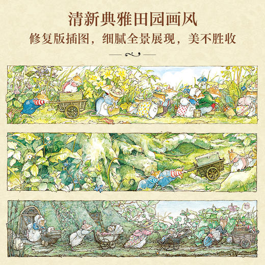 野蔷薇村的故事 全8册精装礼盒版（多规格） 商品图2