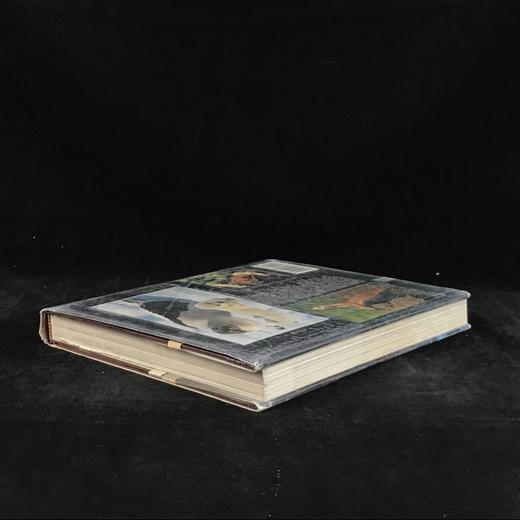 北美洲野生动物图集 数百幅插图 精装大16开 商品图2