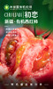 合作产品/ 半亩园”初恋“有机西红柿 商品缩略图3