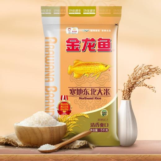 金龙鱼寒地东北大米 5kg 商品图0