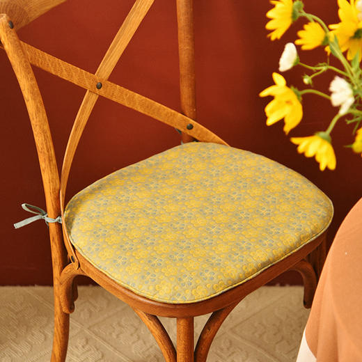 杏花椅垫家用四季通用中式实木加厚餐椅防滑坐垫 商品图3