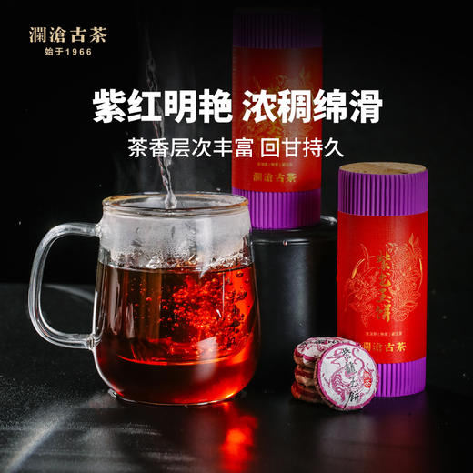 【社群专享】澜沧古茶2023年紫芽熟小萌饼+紫龙玉饼（熟）+白瓷斗笠杯（喜乐杯）*2个 商品图5