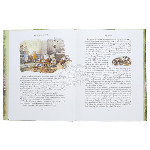 【中商原版】The Wind in the Willows 古典插画版 柳林风声 儿童文学经典 名著作品 小说故事图画书 英文原版 进口图书 商品图5