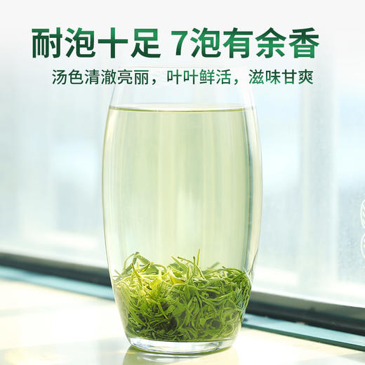 2026新茶上市明前春茶5星碧螺春绿茶125g*2袋 商品图2