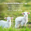 有机苏尼特羔羊（内蒙古）6个月草原有机养殖 商品缩略图8